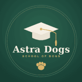 Astra Trainer logo