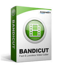 Bandicam Screen Recorder logo