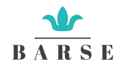 Barse Jewelry logo