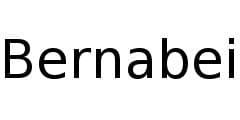 Bernabei logo