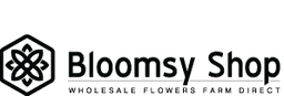 BloomsyBox logo