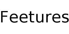 Feetures logo