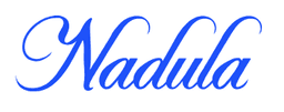 Nadula Hair logo