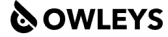 Owleys® Car Accessories logo