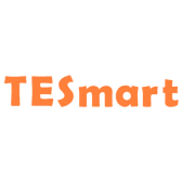 TESmart.DE logo