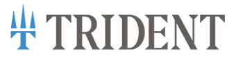 Trident Fly Fishing logo